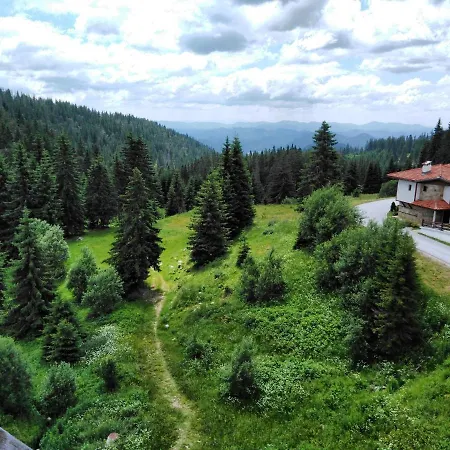 Viki Apartman