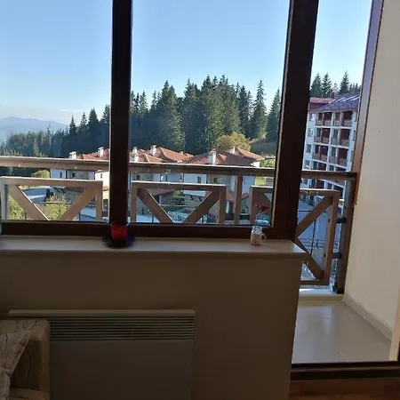 Viki Apartman *